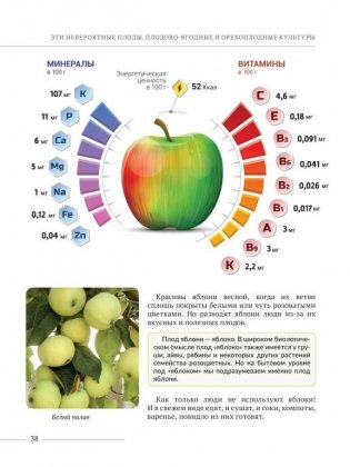 Эти невероятные плоды. Плодово-ягодные и орехоплодные культуры фото книги 6