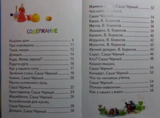 Кошкин дом фото книги 2