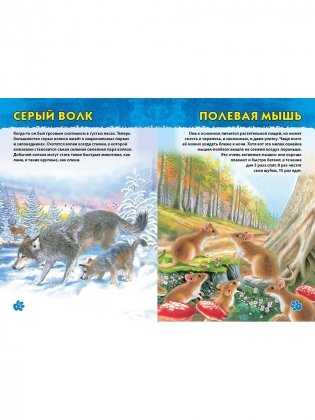 Животные мира. Первая энциклопедия дошкольника фото книги 4