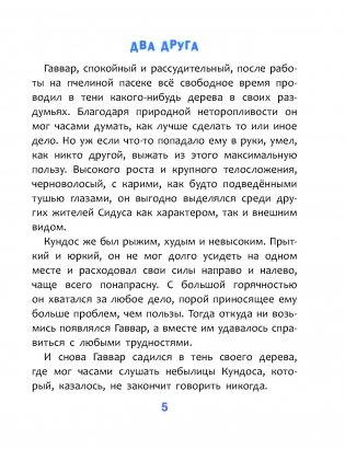 Необыкновенные приключения Гаввара и Кундоса. Голубой кристалл фото книги 6