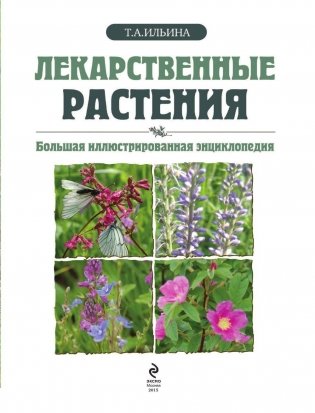Лекарственные растения. Большая иллюстрированная энциклопедия фото книги 4