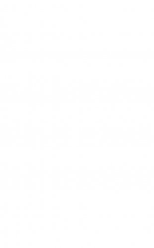 Котенок Сильвер, или Полосатый храбрец фото книги 7