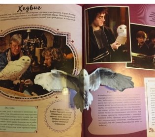 Волшебный мир Джоан К. Роулинг. Том второй. Фантастические существа фото книги 3