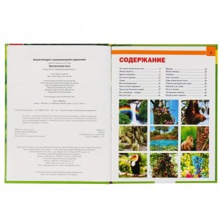 Тропические леса фото книги 2