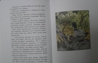 Курочка, которая мечтала летать фото книги 6