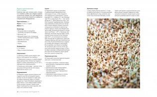 Beer Expert: Пиво. Идеальный путеводитель по сортам, видам, рецептам фото книги 8