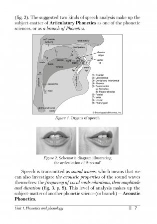 Английский язык. Курс теоретической фонетики фото книги 6