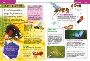 Детская энциклопедия для маленьких любознашек фото книги 3