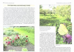 Секреты плодородия сада. Справочное пособие фото книги 2