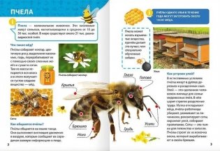 Энциклопедия для маленьких почемучек. Насекомые фото книги 4