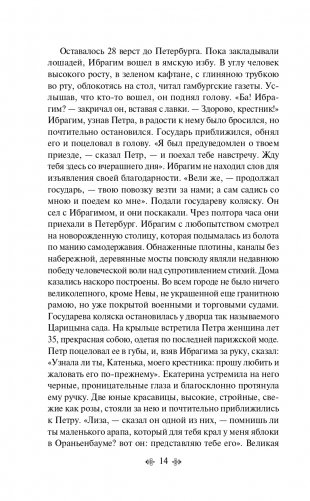 Дубровский фото книги 15