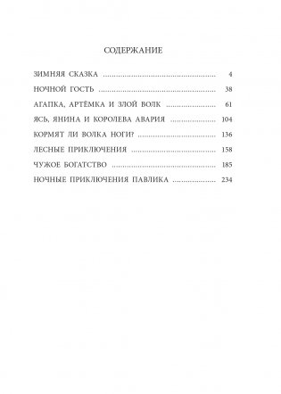 Зимняя сказка фото книги 5