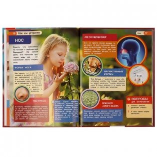 Тело человека. Как мы устроены. Энциклопедия фото книги 3