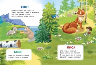 Лесные животные. Играем и учимся с наклейками фото книги 3