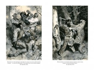 Таинственный остров фото книги 7