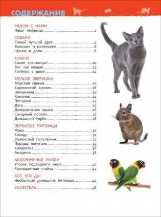 Домашние питомцы. Энциклопедия для детского сада фото книги 4