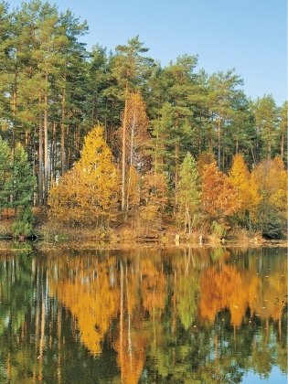 Гарады і вескі Беларусі. Віцебская вобласць. Кніга 2 фото книги 5