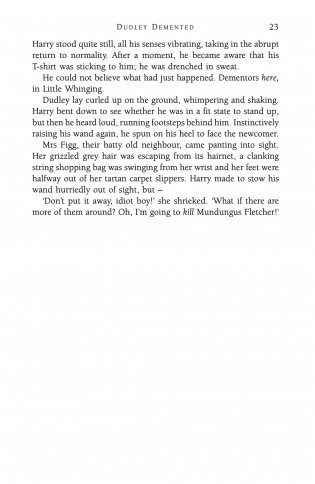 Harry Potter 5 and the Order of the Phoenix фото книги 18