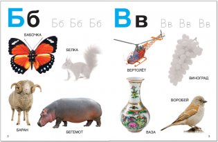 Моя первая азбука с наклейками фото книги 5