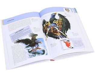 Фантастические существа. Полная энциклопедия фото книги 4