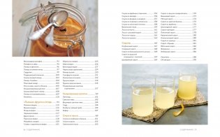 Подарочный набор "Большой подарок для гурмана" (Лимон, Домашние копчености, Домашние напитки, игра) фото книги 8