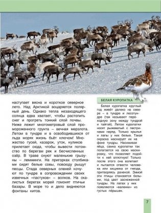 Животные России фото книги 6