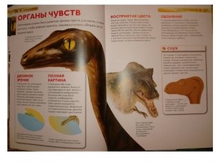 Динозавры. Детская энциклопедия фото книги 5