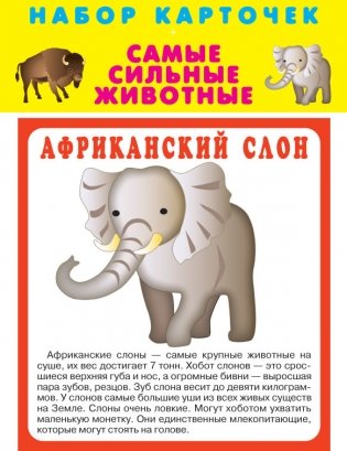 Набор карточек. Самые сильные животные фото книги