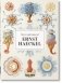 The Art and Science of Ernst Haeckel. 40th Anniversary Edition фото книги маленькое 2