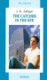 Над пропастью во ржи (со сленговым словарем). Книга для чтения (на английском языке) фото книги маленькое 2