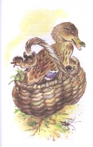 Природа вокруг нас фото книги 7