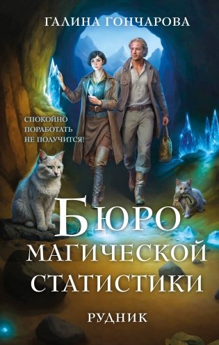 Бюро магической статистики. Рудник фото книги