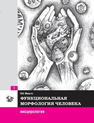 Функциональная морфология человека: висцерология. Т.1. фото книги