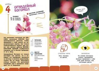 Самые необычные животные и места мира фото книги 6