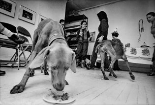 Chelsea Hotel: Portraits from New York's Bohemian Mecca фото книги 8