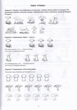 Тетрадь по развитию речи для детей дошкольного возраста. От 4 до 6 лет. В 2 частях. Часть 1. Практическое пособие для учителей-дефектологов фото книги 3