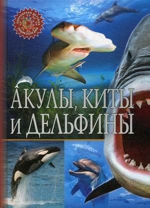 Акулы, киты и дельфины. Детская энциклопедия фото книги
