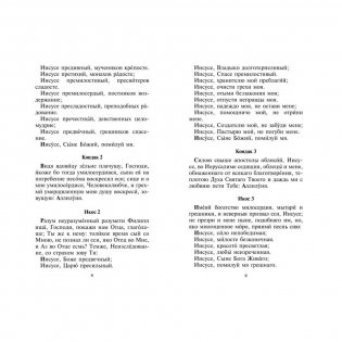 Акафистник. Исцели и помилуй фото книги 4