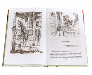 Гранатовый браслет фото книги 4