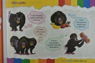 Моя первая книга фактов. Обезьяны и мартышки фото книги 3