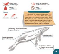 Подводный мир. Серия "Планета животных" фото книги 5