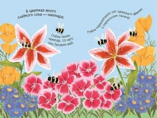 Цветы фото книги 3