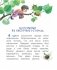 Незнайка и его друзья фото книги маленькое 3