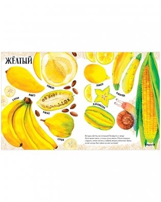 Приключения улитки Элли в мире фруктов и овощей (мягкая обложка) фото книги 7