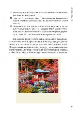 Кайдзен: японский метод трансформации привычек маленькими шагами фото книги 11