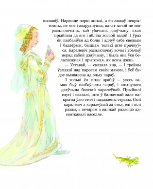 Залатая гусь фото книги 3