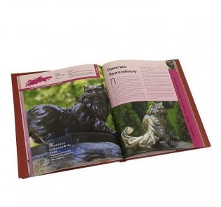 100 мест, где исполняются желания фото книги 2