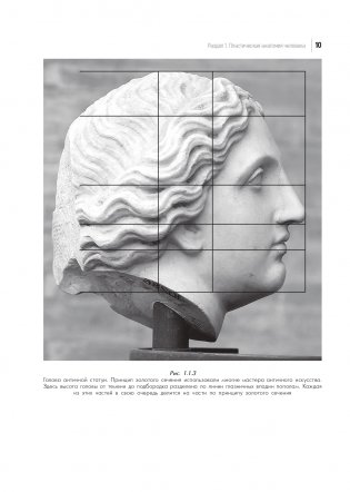 Практикум по пластической анатомии фото книги 11