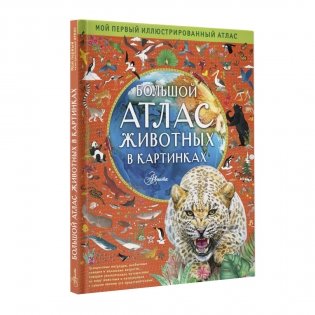 Большой атлас животных в картинках фото книги 9