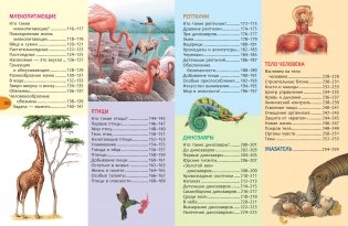 Большая энциклопедия знаний фото книги 4